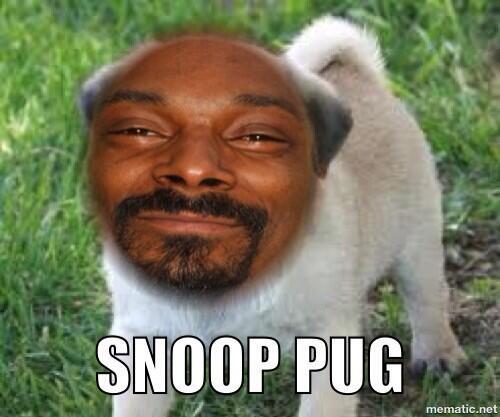 Snoop Pug