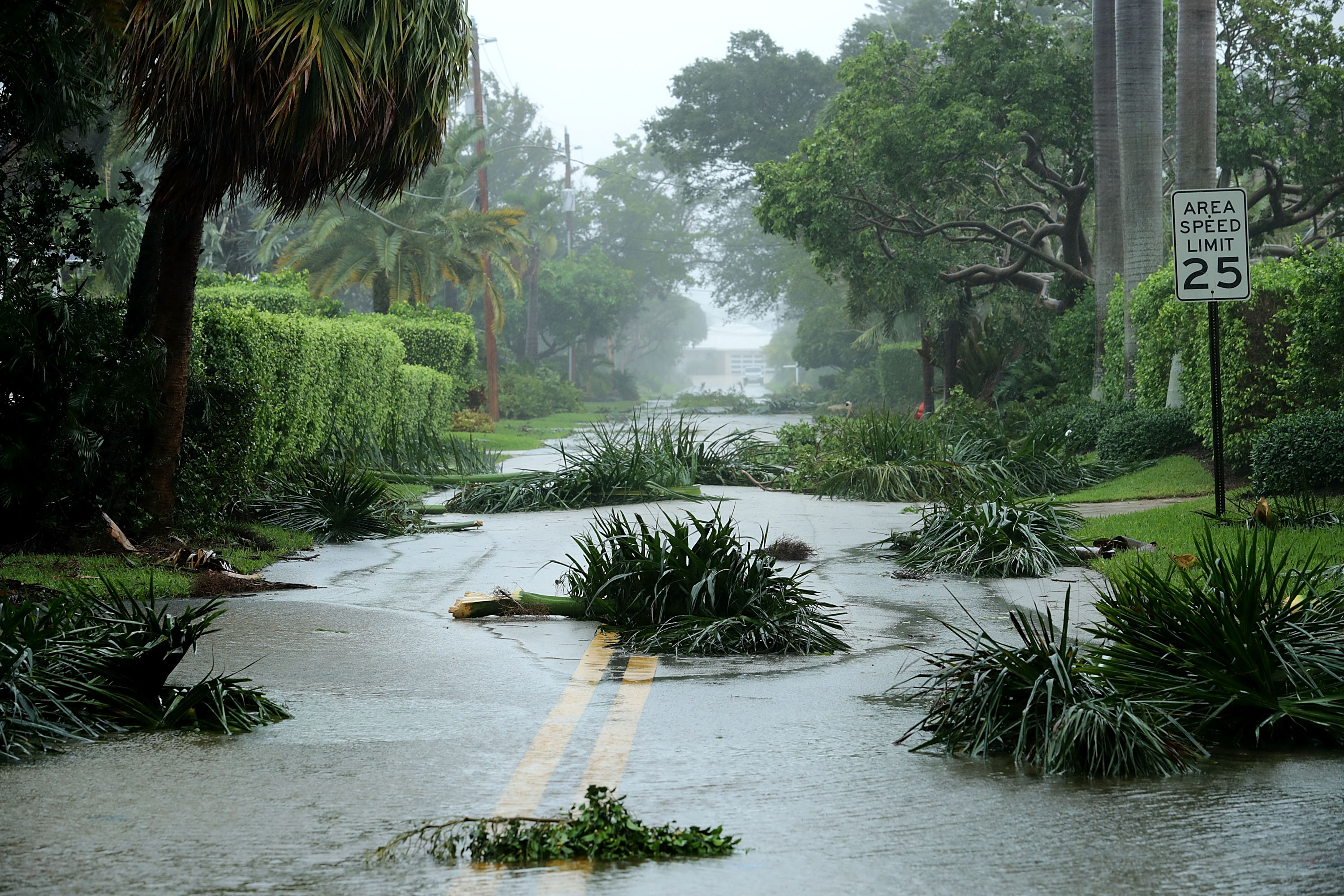 Powerful Hurricane Irma Slams Into Florida