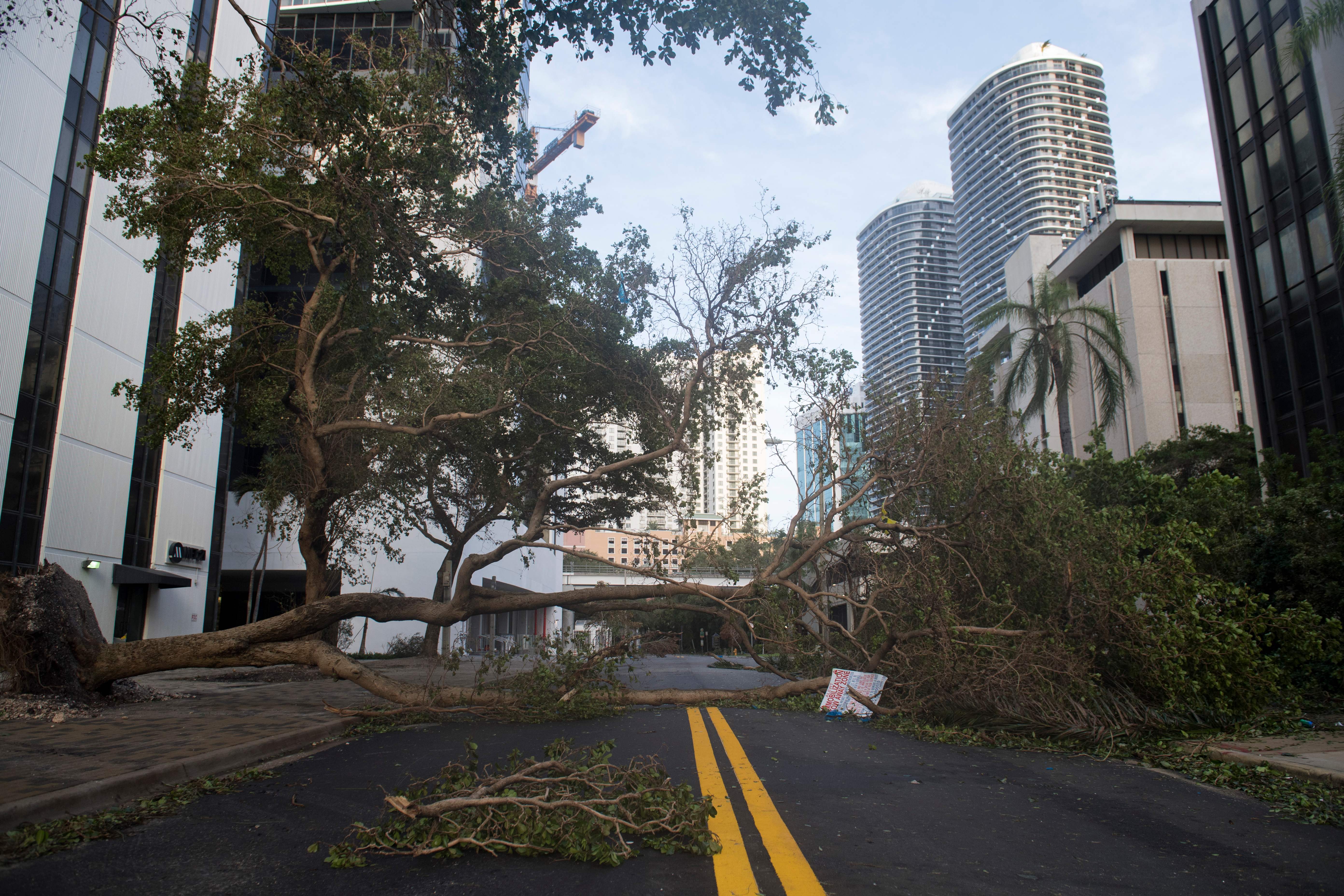 US-WEATHER-HURRICANE-IRMA