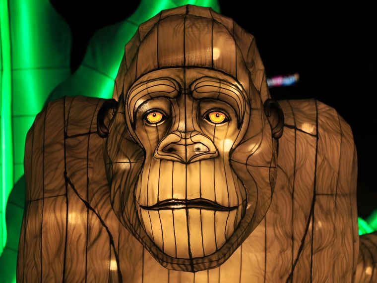 Chinese Lantern Festival