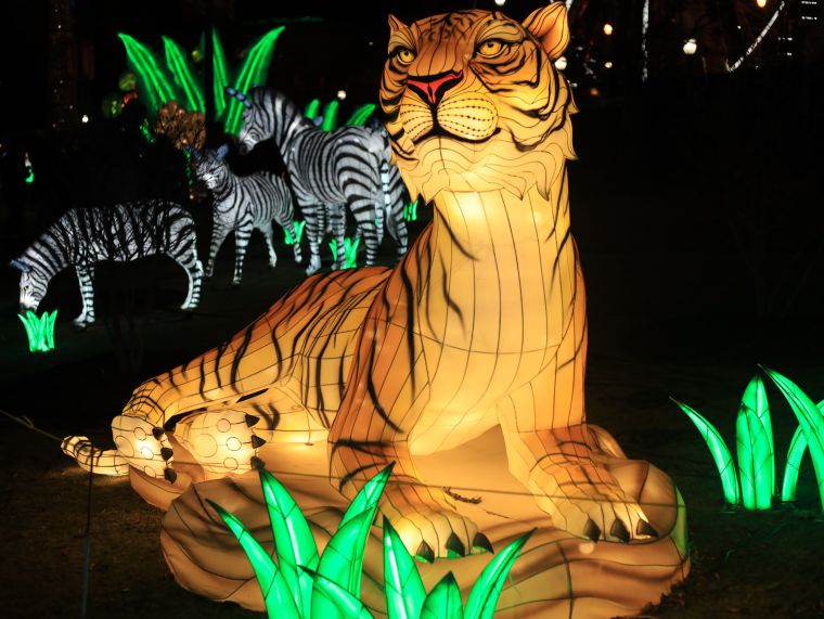 Chinese Lantern Festival