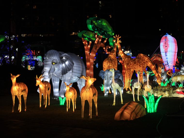 Chinese Lantern Festival