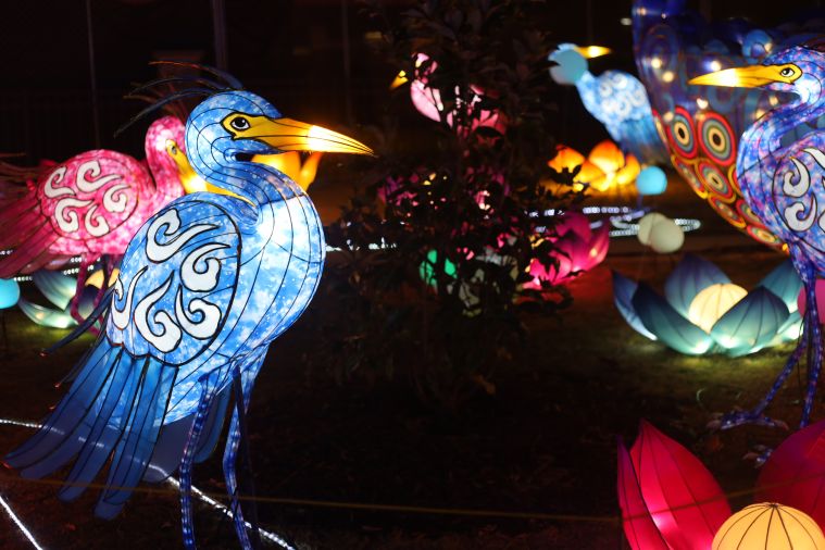 Chinese Lantern Festival