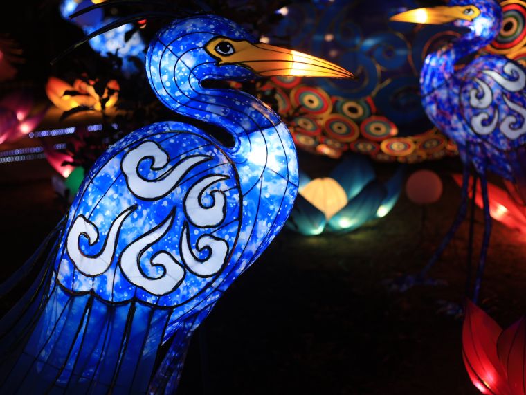 Chinese Lantern Festival