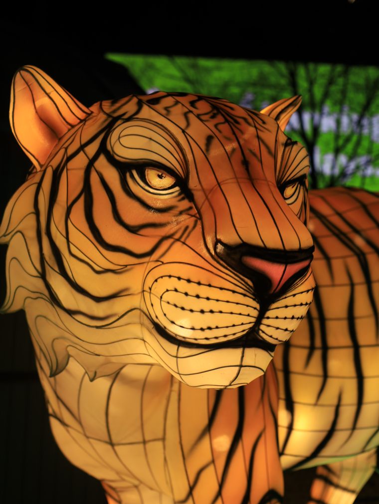 Chinese Lantern Festival