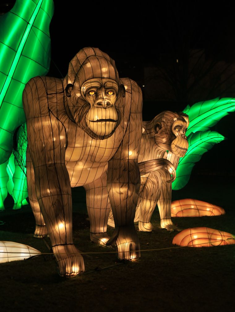 Chinese Lantern Festival