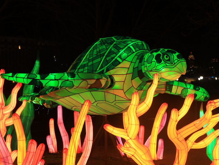 Chinese Lantern Festival