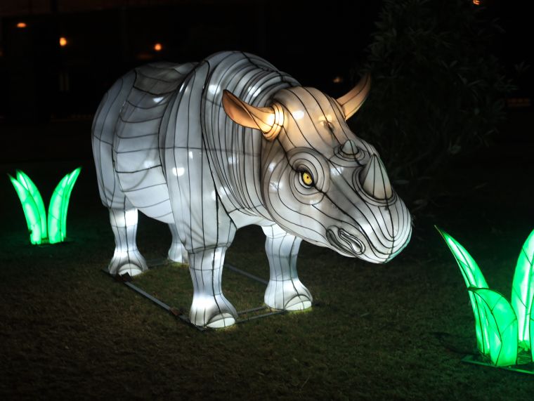 Chinese Lantern Festival