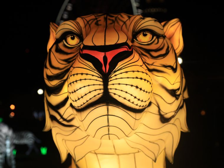 Chinese Lantern Festival