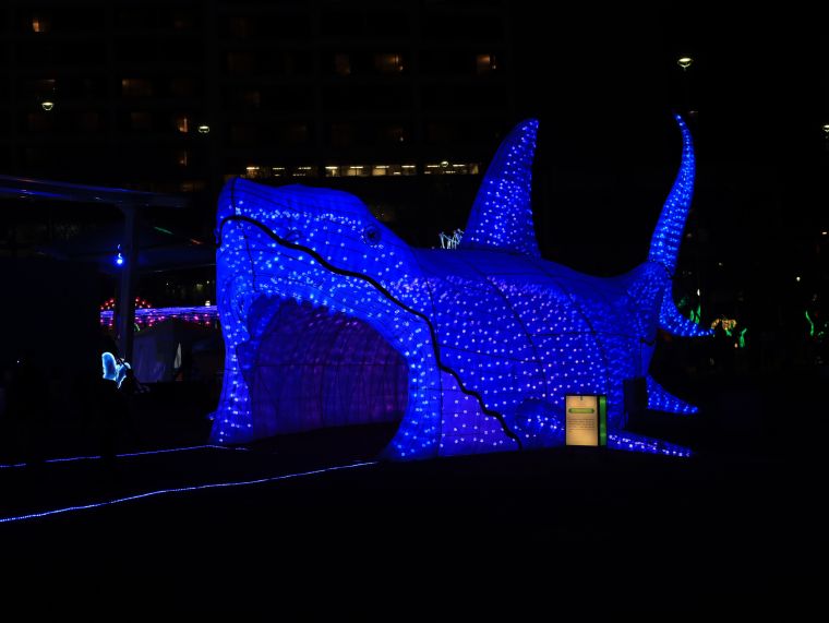 Chinese Lantern Festival