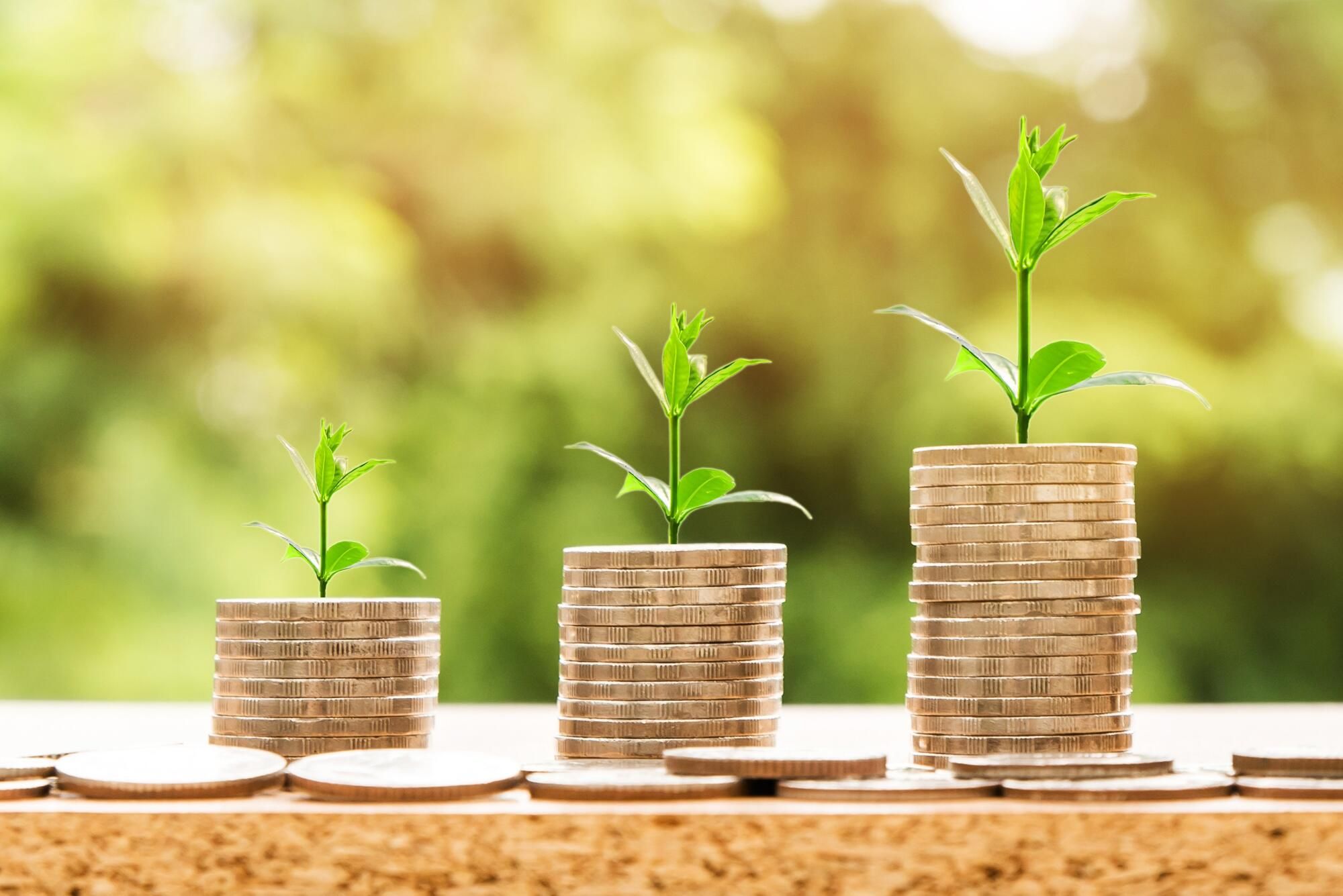 Communities are turning conservation into an economic asset